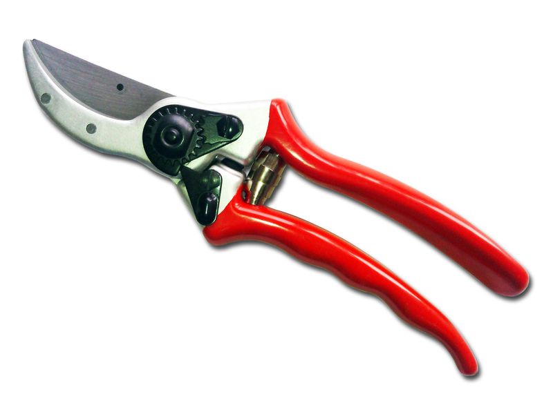 Felco - Professional Pruning Shear