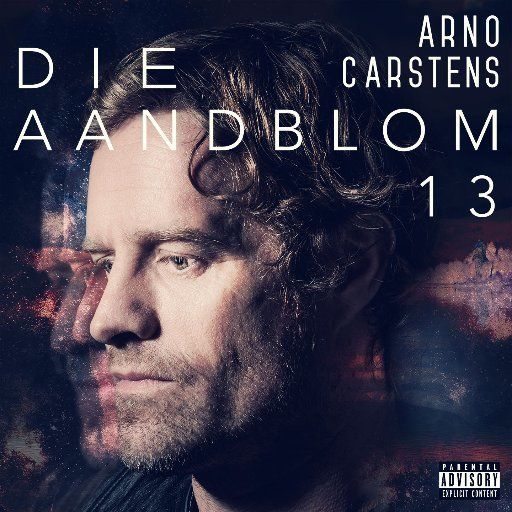 Die Aandblom 13 (CD)