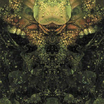 House Of Low Culture - Edward's Lament (CD)