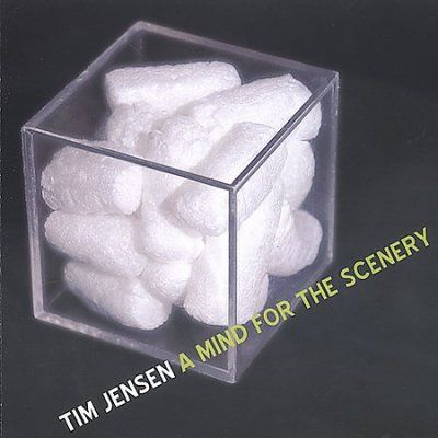 Tim Jensen - Mind For The Scenery (CD)