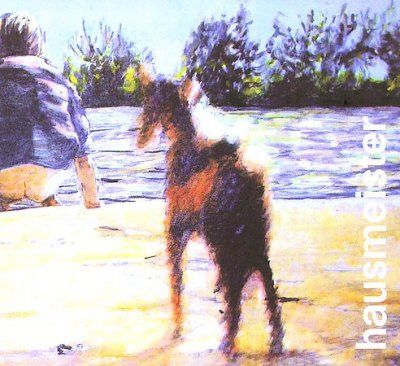 Hausmeister - Water Wasser (CD)