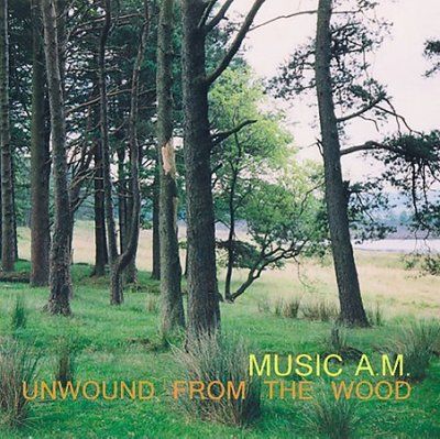 Music A.M. - Unwound From The Wood (CD)