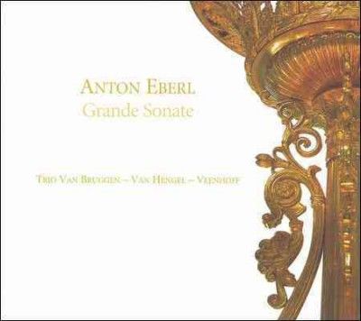 Grande Sonate: Chamber Music (Trio Van Bruggen) (CD / Album)