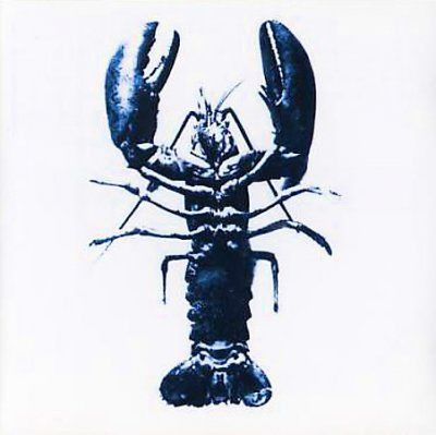Various - Double Articulation: Folds &amp; Rhizomes (CD)