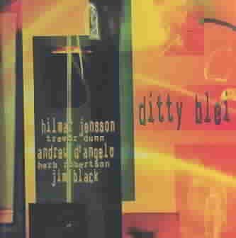 Hilmar Jensson - Ditty Blei (CD)