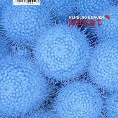 Rehberg &amp; Bauer - Passt (CD)