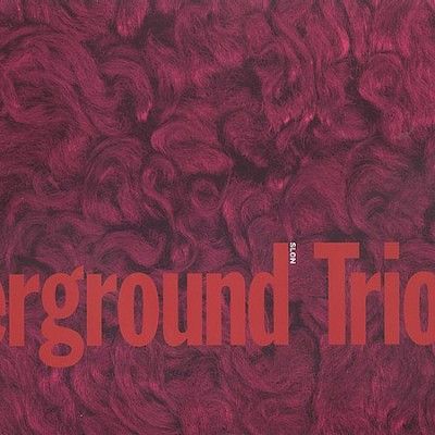 Chicago Underground - Slon (CD)