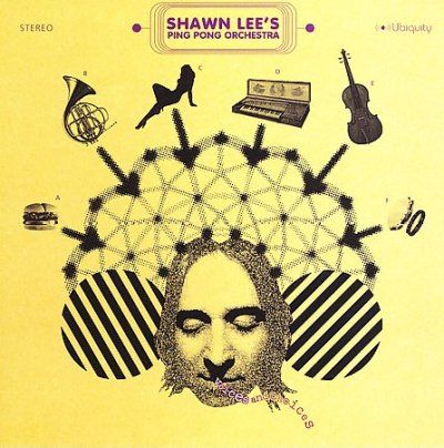 Shawn Lee - Voices And Choices (CD)