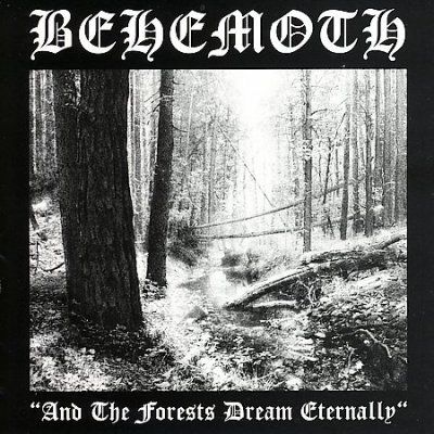 And the Forest Dream Eternally (CD / Album)