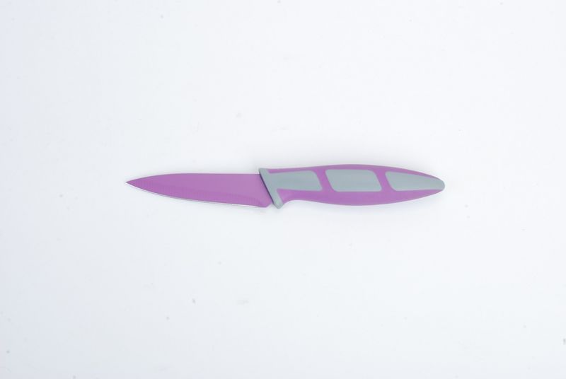Kitchen Dao - RV2204 3.5 Inch Non-Stick Paring Knife - Purple