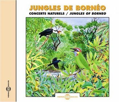 Birds of the Jungles of Borneo (CD / Album)