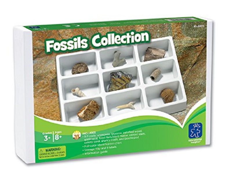 Geosafari Fossils Collection