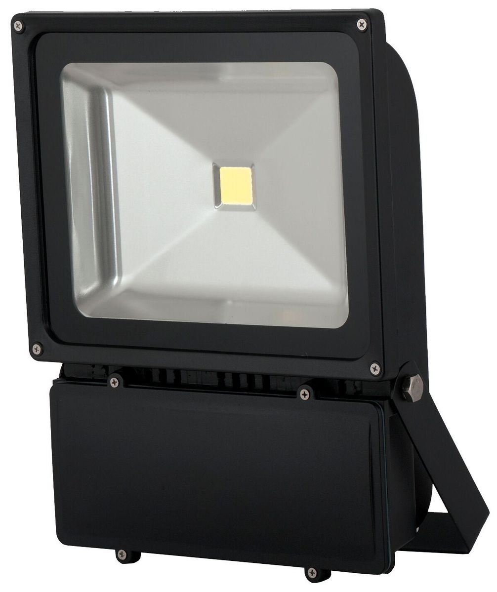 Bright Star Lighting - Flood Light - 100W | Buy Online in South Africa ...