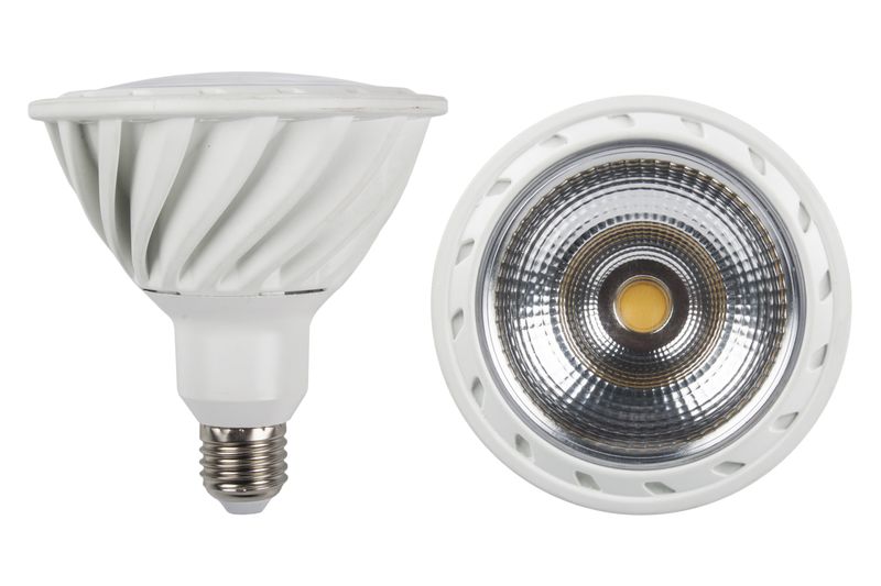 Nexus - Led Lamp - PAR38 - Cool Day Light