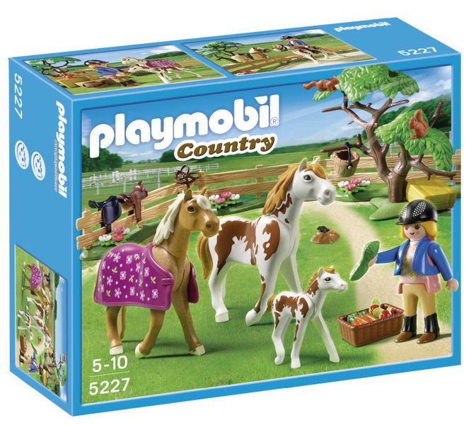 Playmobil Paddock With Horses And Foal