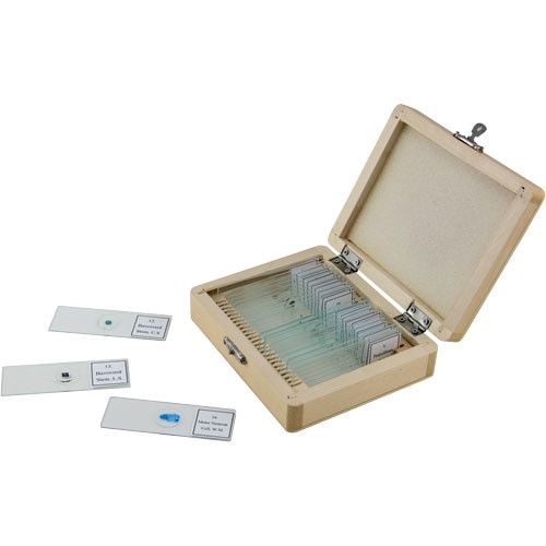 Celestron Prepared Microscope Slide Mounts | Shop Today. Get it ...