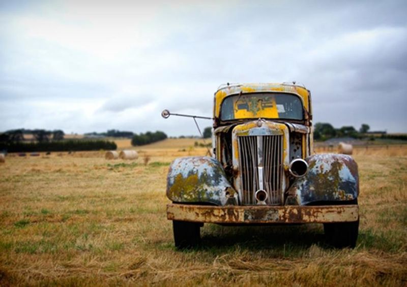 workART Curated Photographic Canvas - Be my Project by Jamie Mink