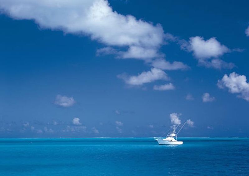 workART Curated Photographic Canvas - All the Blues by Raining Huang