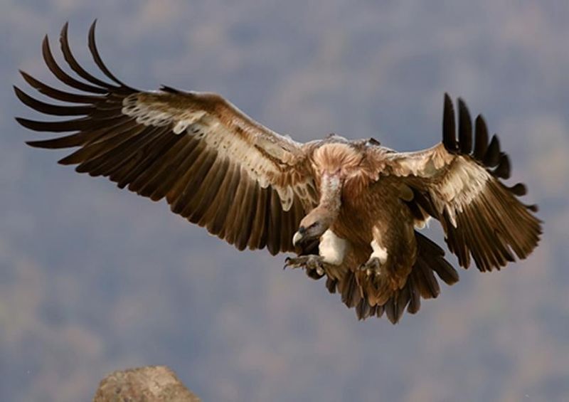 workART Curated Photographic Canvas - Coming in to Land by Mapth Taces
