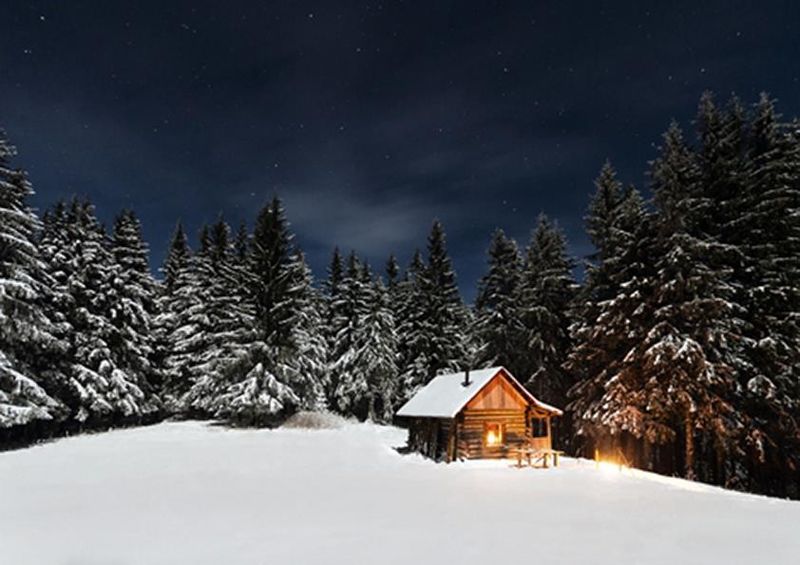 workART Curated Photographic Canvas - Home in the Woods by Paul Itkin
