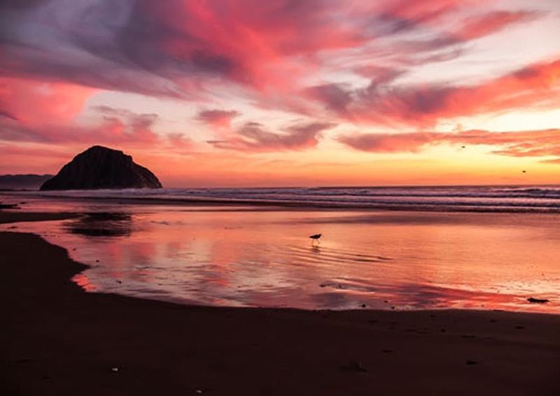 workART Curated Photographic Canvas - Red Sky at Night by Michael Baird