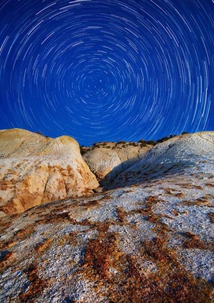 workART Curated Photographic Canvas - Circle of Stars by Anna Anikina