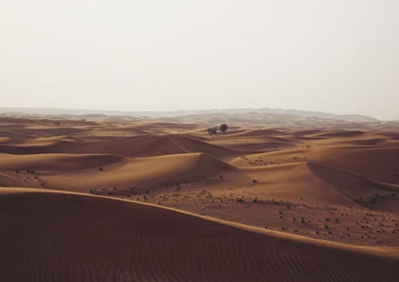 workART Curated Photographic Canvas - Desert by Tiago Muraro