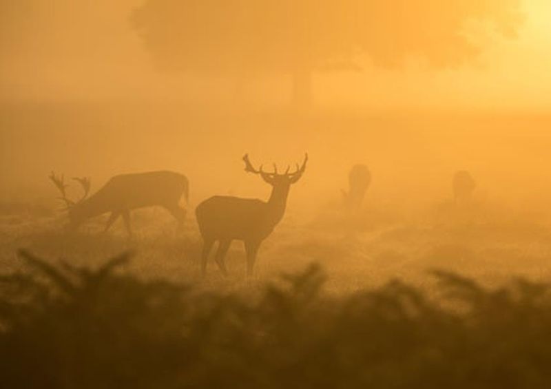 workART Curated Photographic Canvas - Who is there by Paul Earle