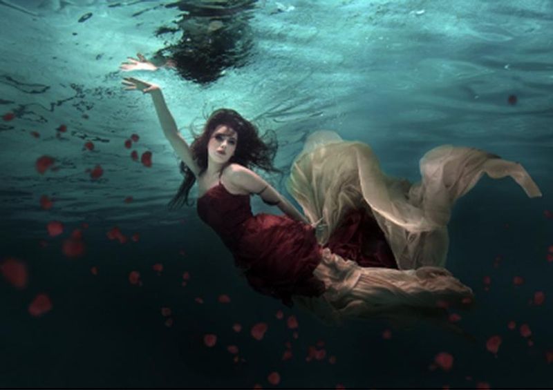 workART Curated Photographic Canvas - Ocean of Roses by 1x Com
