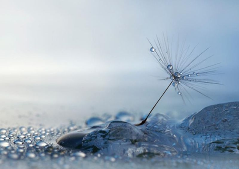 workART Curated Photographic Canvas - A Blue Morning by Heidi Westum