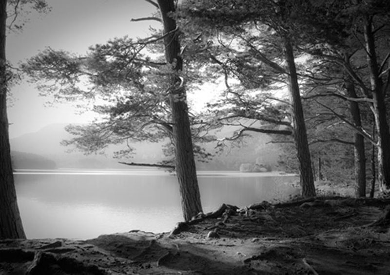 workART Curated Photographic Canvas - Lock an Eilein by Eileen Dorit