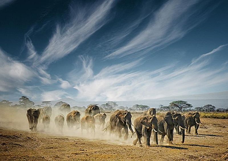 workART Curated Photographic Canvas - A very long thinking by Mathilde
