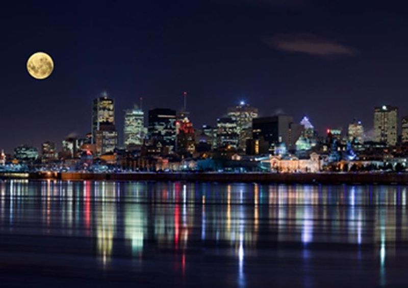 workART Curated Photographic Canvas - Montreal Night by Uppidu