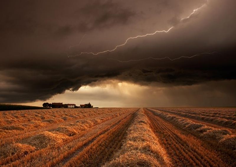 workART Curated Photographic Canvas - Storm Field by Frans Schumacher