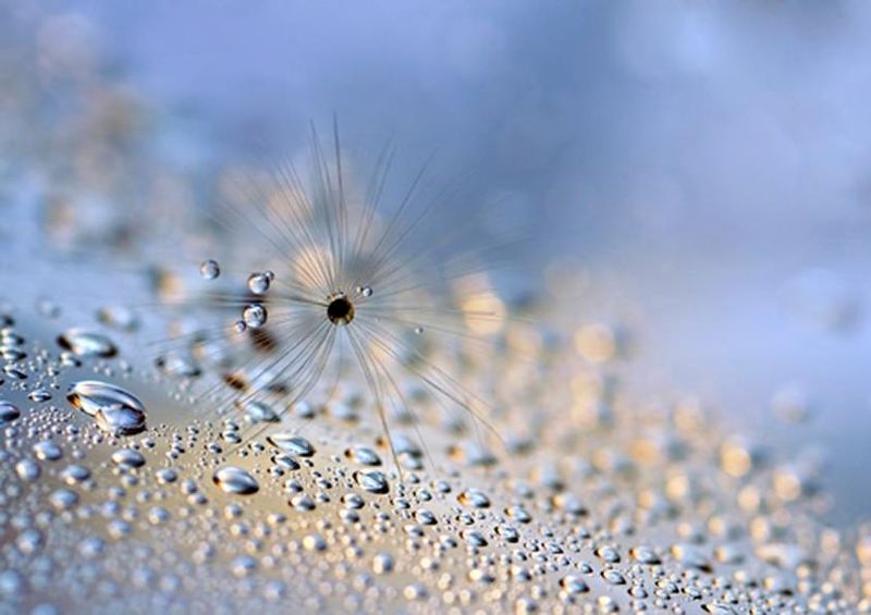 workART Curated Photographic Canvas - Crawling Down by Heidi Westum
