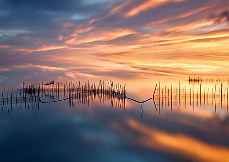 workART Curated Photographic Canvas - Fishnets by Jose Beut