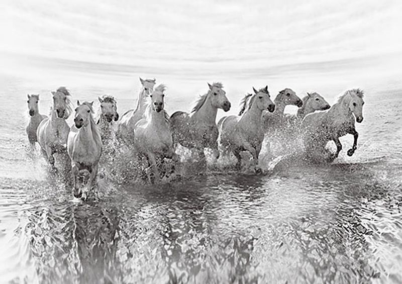 workART Curated Photographic Canvas - Illusion of Power by Roman Golubenko