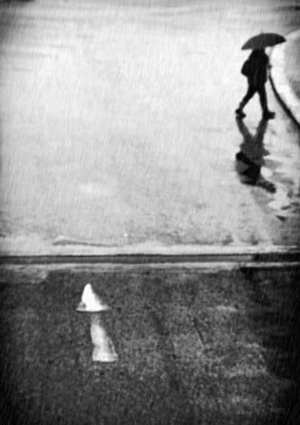workART Curated Photographic Canvas - If I Have to Go by Laura Mexia