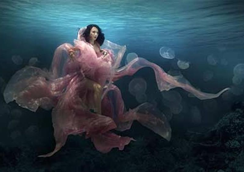 workART Curated Photographic Canvas - The Bloom Goddess by workART Gallery