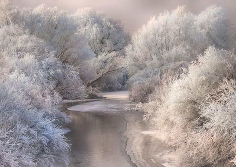 workART Curated Photographic Canvas - Winter Song by Sebestyen Bela