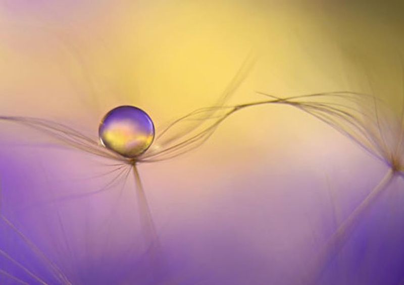 workART Curated Photographic Canvas - In Arms by Heidi Westum