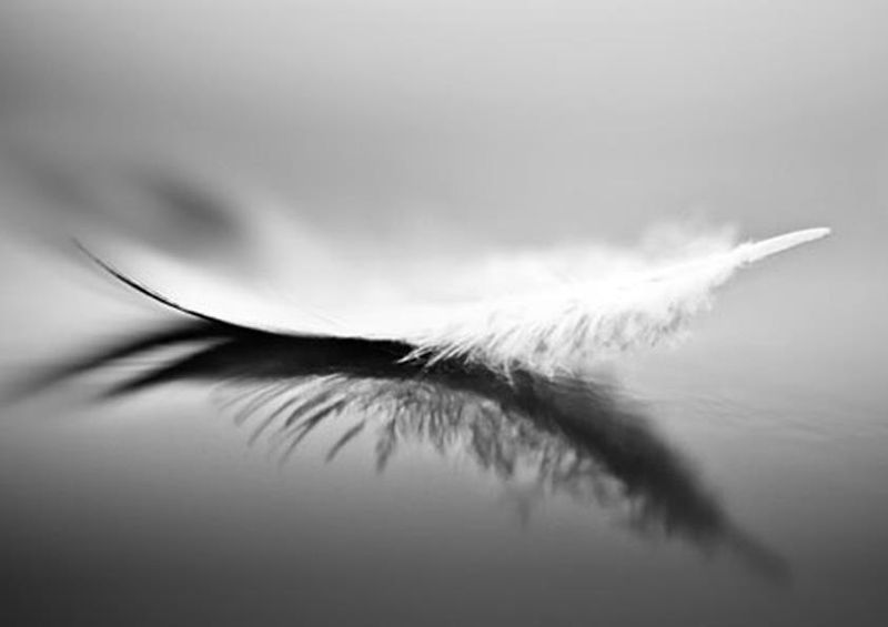 workART Curated Photographic Canvas - White by Olinda Coutinho
