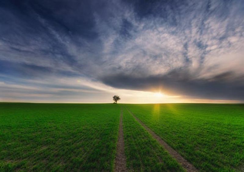 workART Curated Photographic Canvas - Loner in the sun by Piotr Krol