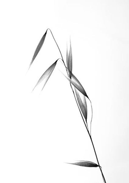 workART Curated Photographic Canvas - Siluetas by Carlos Gonzalez