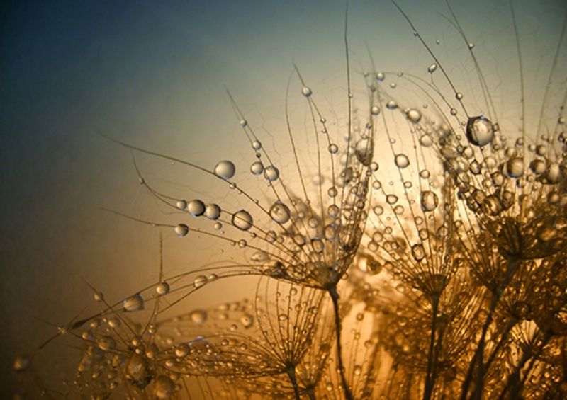 workART Curated Photographic Canvas - Tender is the Night by Dimitar Lazarov