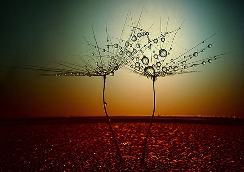 workART Curated Photographic Canvas - Fire and Water by Dimitar Lazarov