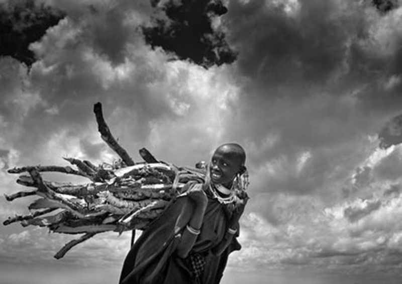 workART Curated Photographic Canvas - Heavy Wings by Norbert Becke