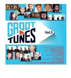 Various - Groot Tunes Vol 3 (CD)
