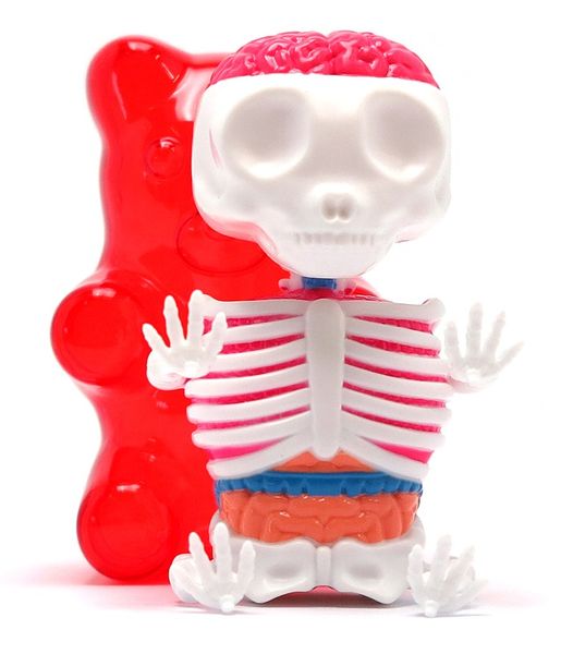 Gummi Bear Anatomy - Red