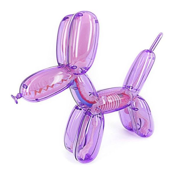 Balloon Dog Anatomy - Purple